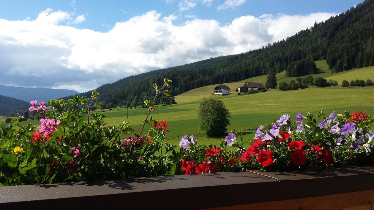 Ferienwohnungen Haus-Holzer Mauterndorf  Bagian luar foto