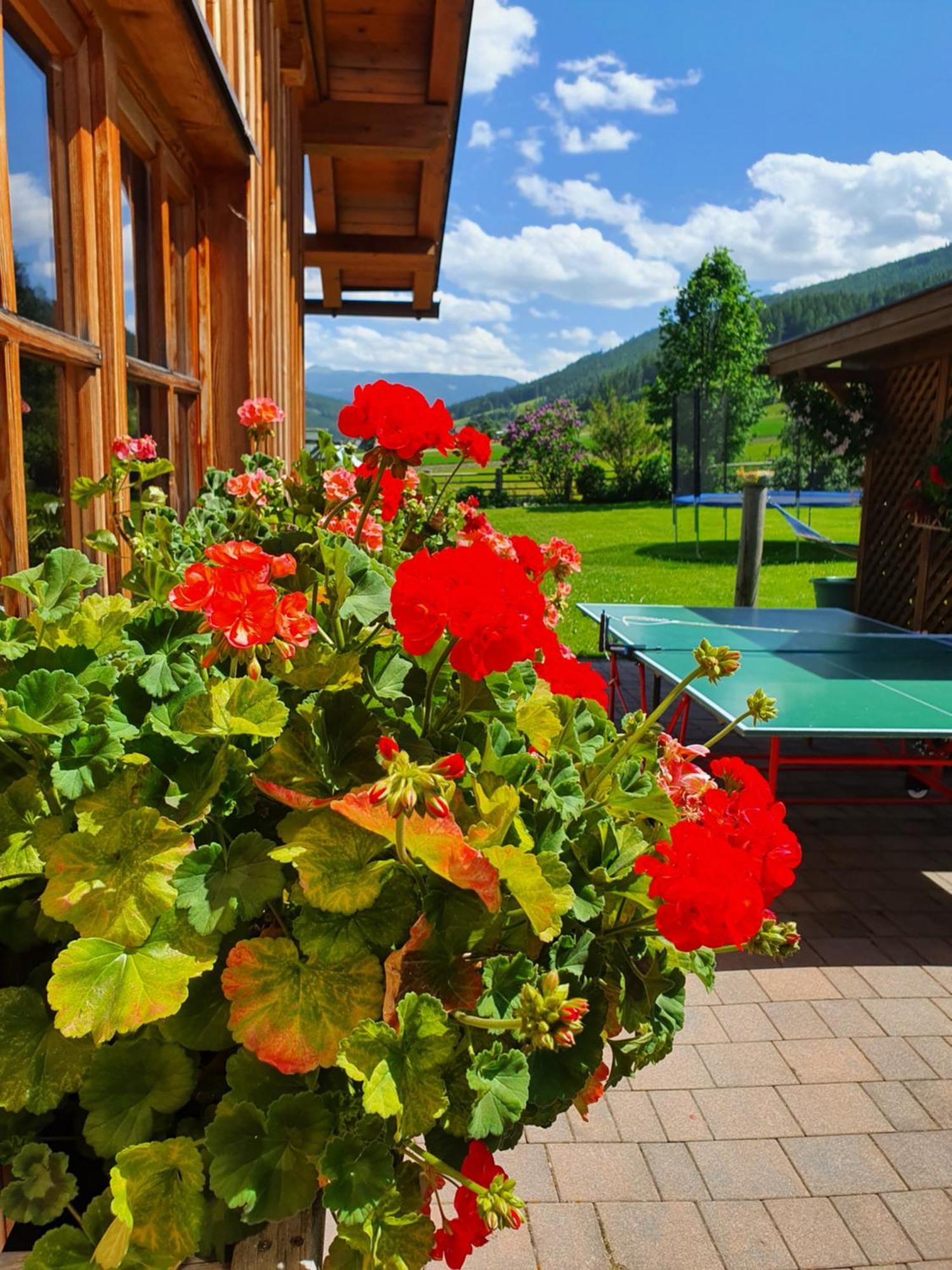 Ferienwohnungen Haus-Holzer Mauterndorf  Bagian luar foto