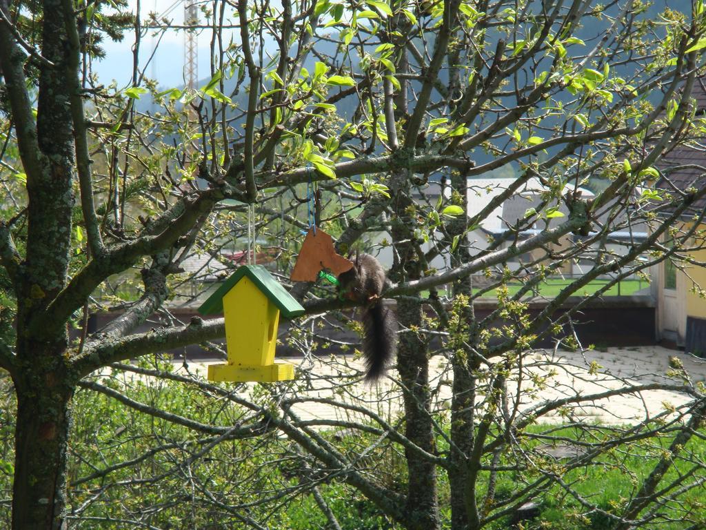 Ferienwohnungen Haus-Holzer Mauterndorf  Bagian luar foto