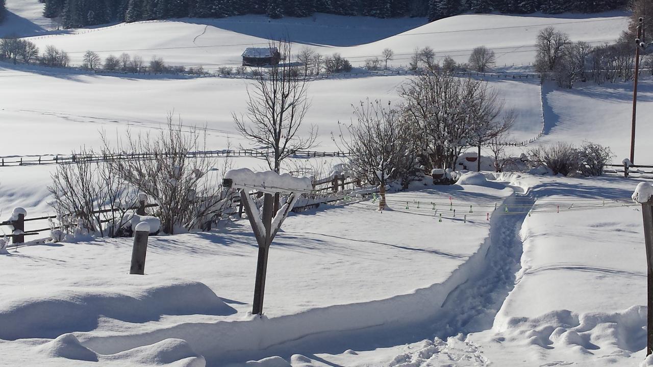 Ferienwohnungen Haus-Holzer Mauterndorf  Bagian luar foto