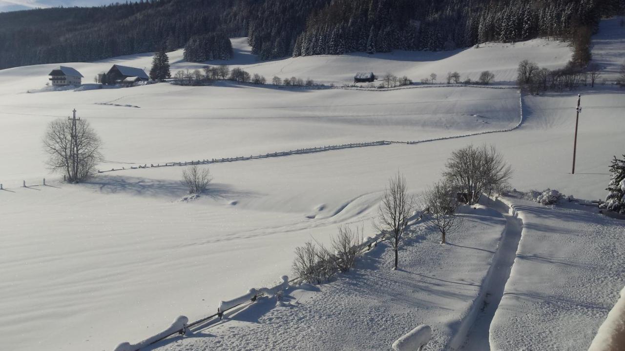 Ferienwohnungen Haus-Holzer Mauterndorf  Bagian luar foto